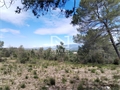 Photo numero 47580596 du bien UBI440582282